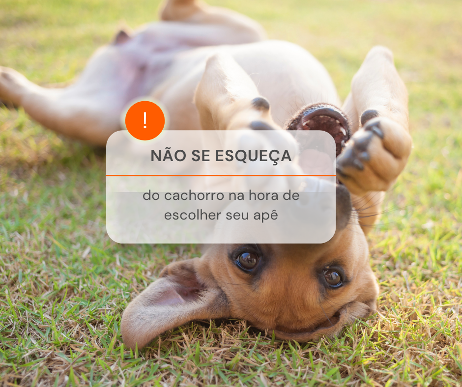 Jogo Terapeutico Ache os Animais